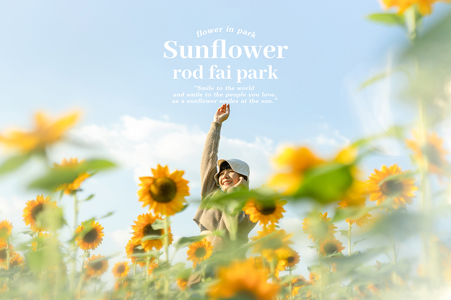 Sunflower Park ทุ่งทานตะวัน สวนรถไฟ