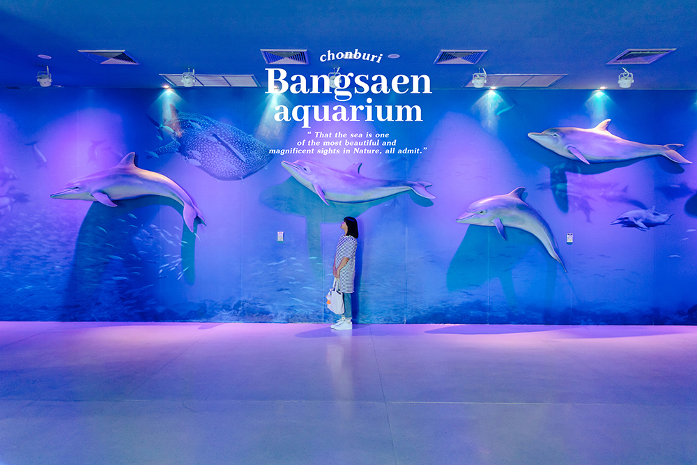 พิพิธภัณฑ์สัตว์น้ำบางแสน