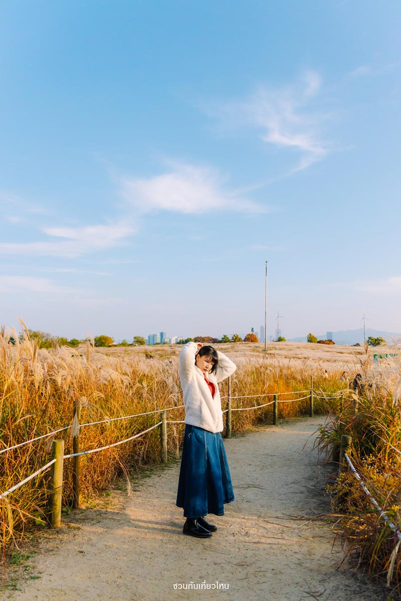 haneul park seoul