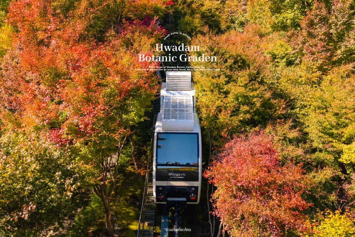 Monorail ชมวิวใน Hwadam Botanic Garden