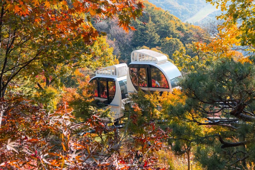 Monorail ชมวิวใน Hwadam Botanic Garden