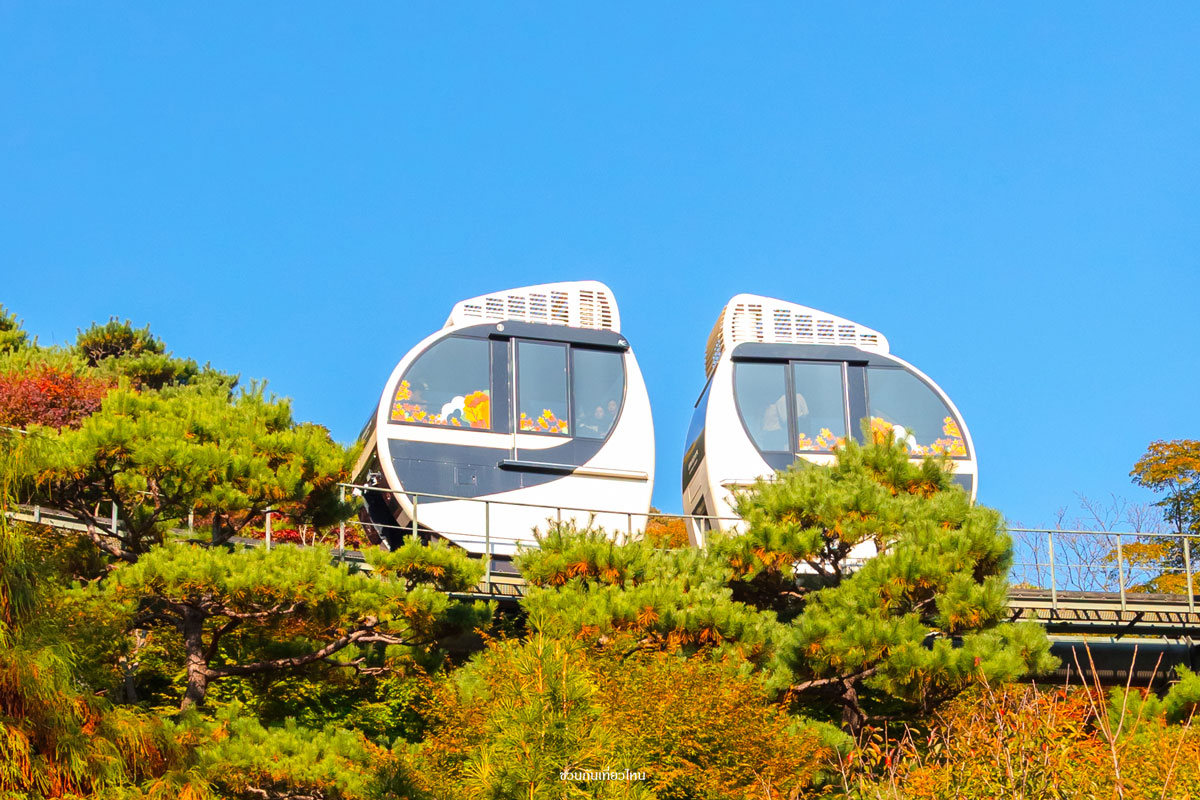 Monorail ชมวิวใน Hwadam Botanic Garden