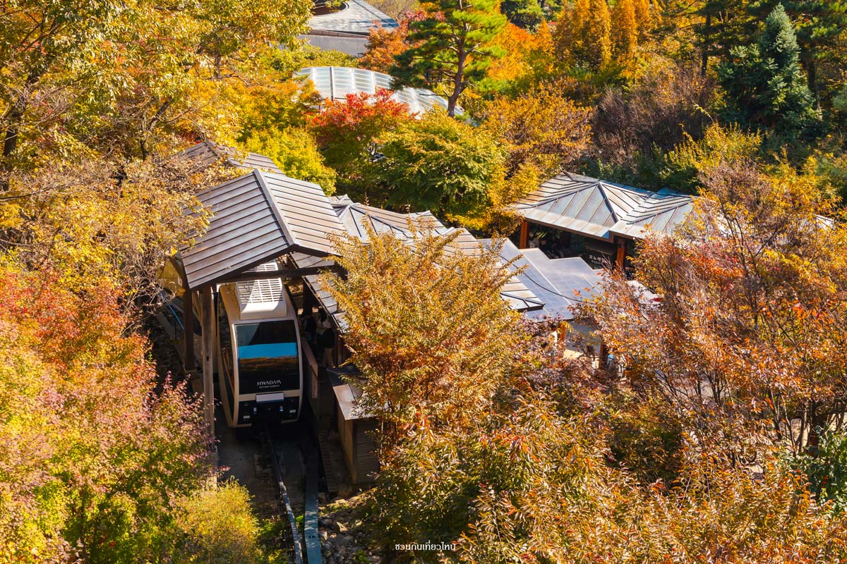 Monorail ชมวิวใน Hwadam Botanic Garden