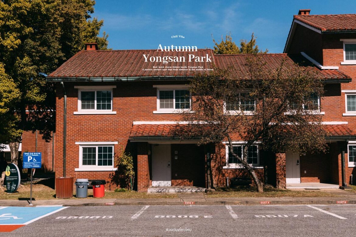 Yongsan Park ฤดูใบไม้เปลี่ยนสี