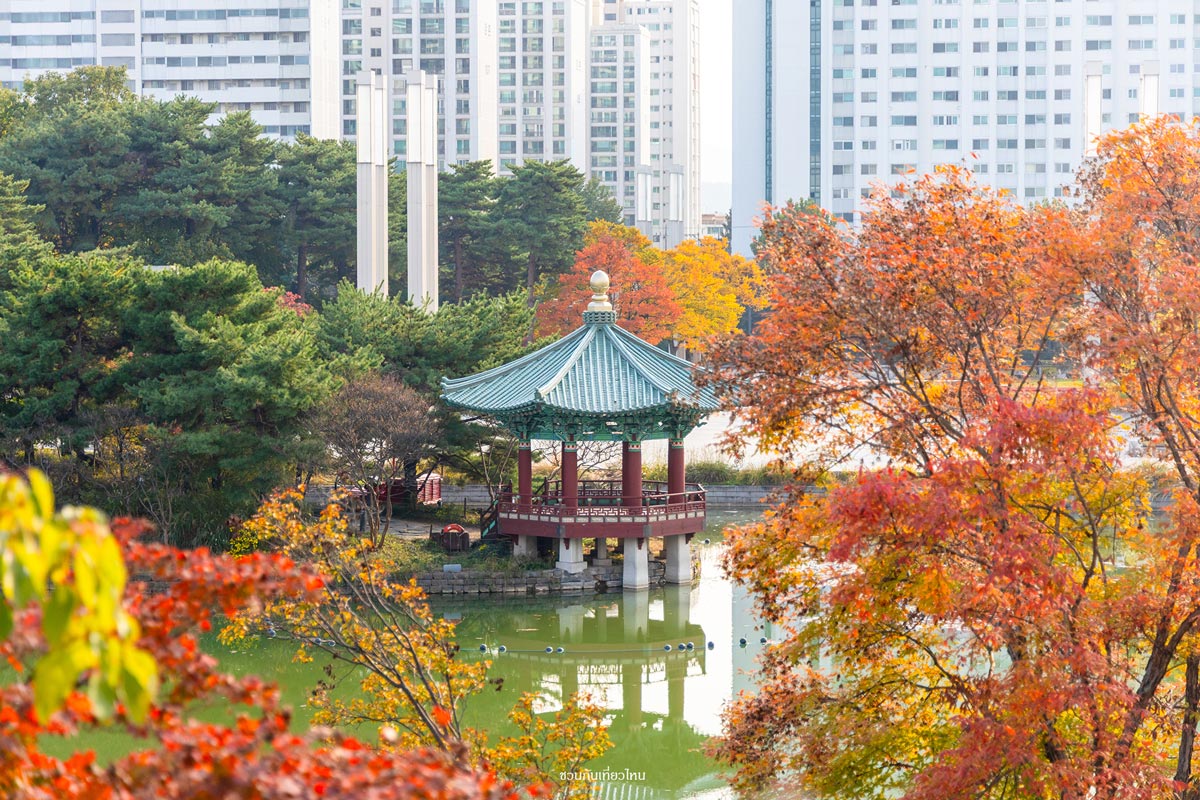 บึงน้ำภายใน National Museum of Korea