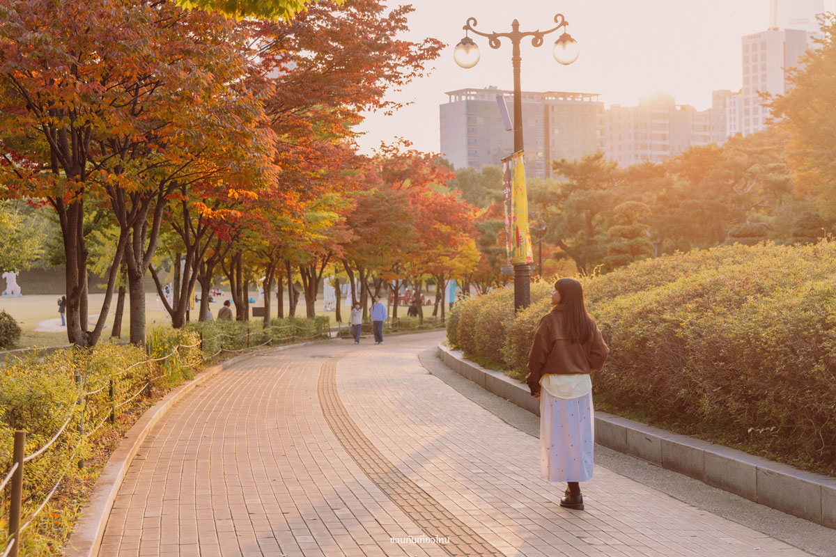 ใบไม้เปลี่ยนสีใน Olympic Park ช่วงเย็น
