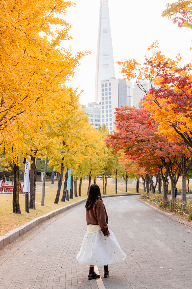 ใบไม้เปลี่ยนสีใน Olympic Park ช่วงเย็น