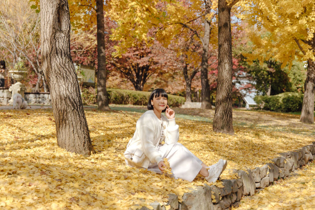 ที่เที่ยวใบไม้เปลี่ยนสี Seoul Forest Park