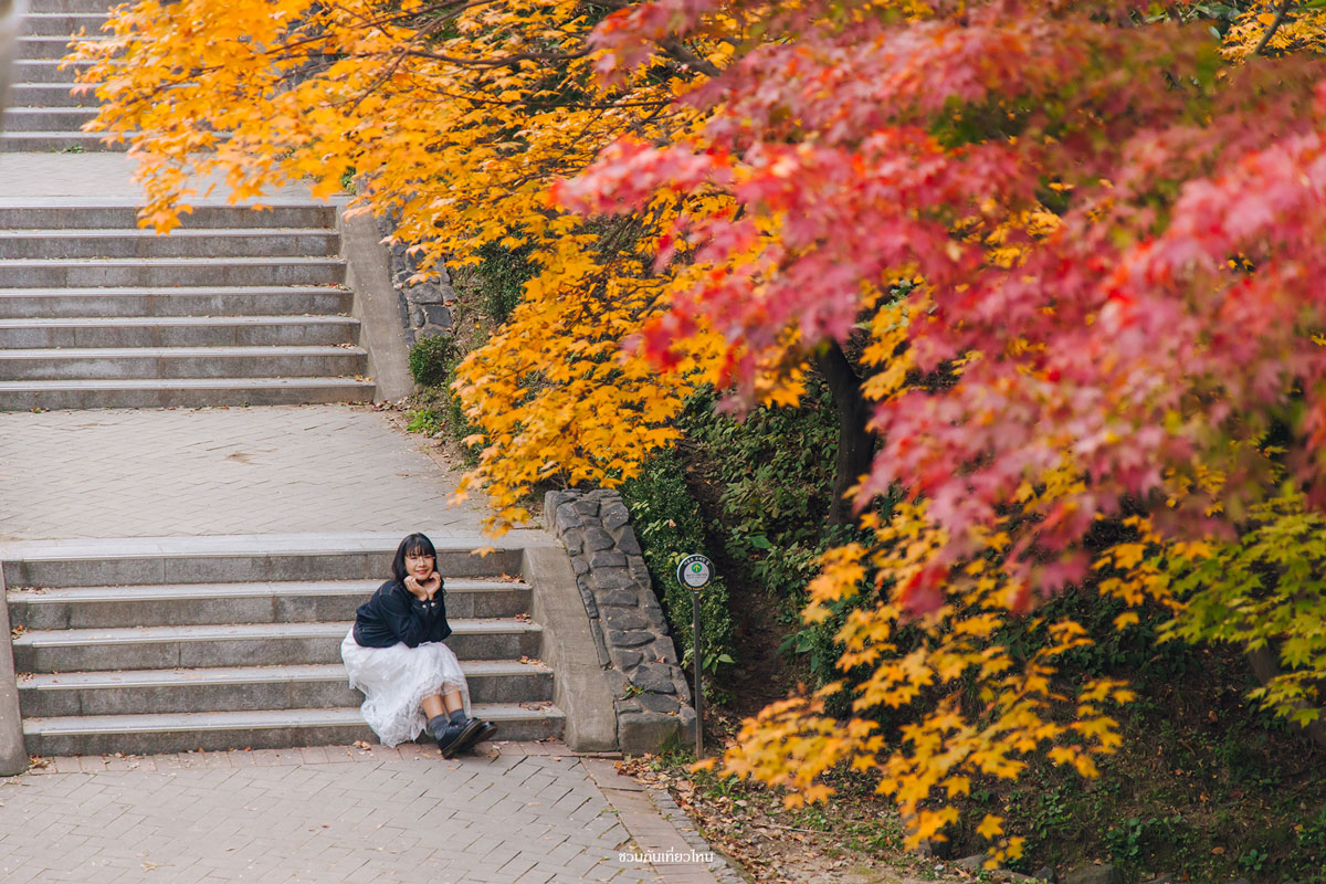 ที่เที่ยวใบไม้เปลี่ยนสี Seoul Forest Park