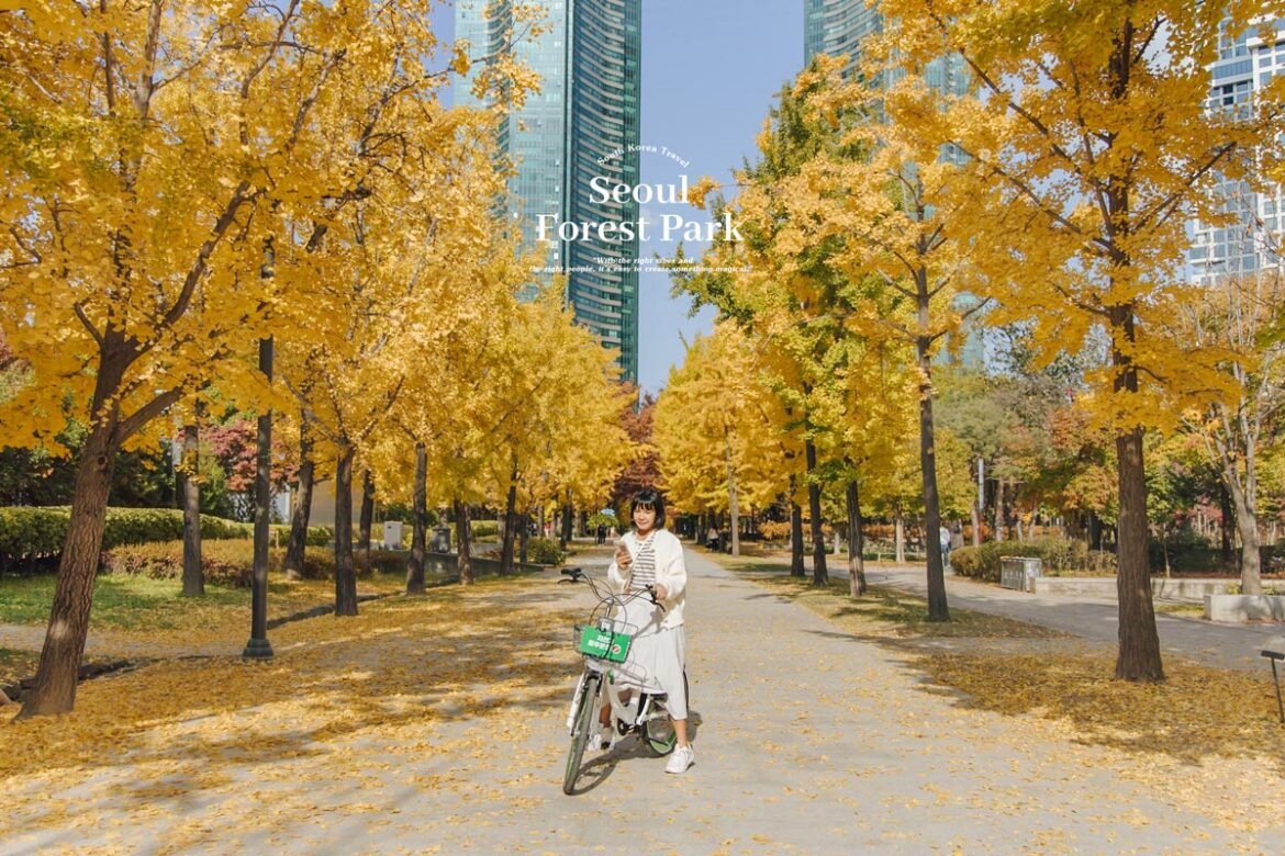 Seoul Forest ช่วงใบไม้เปลี่ยนสีในโซล