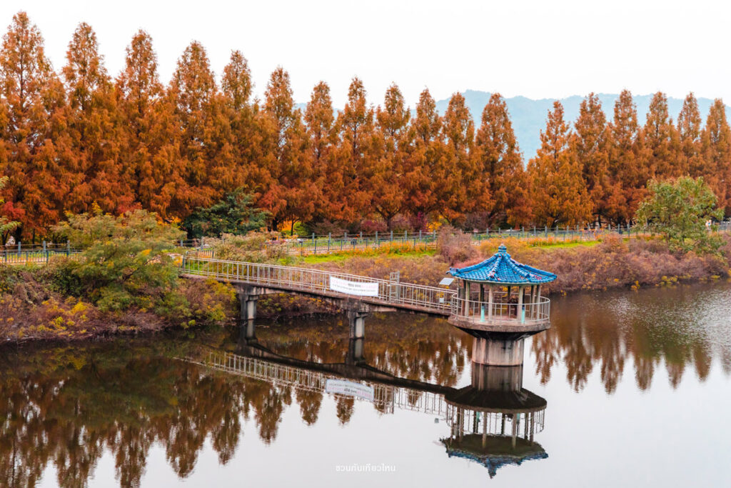 ทะเลสาบใน Seoul Grand Park ช่วงใบไม้เปลี่ยนสี