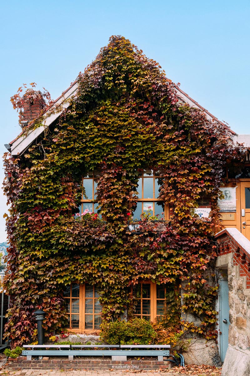 House of Composer