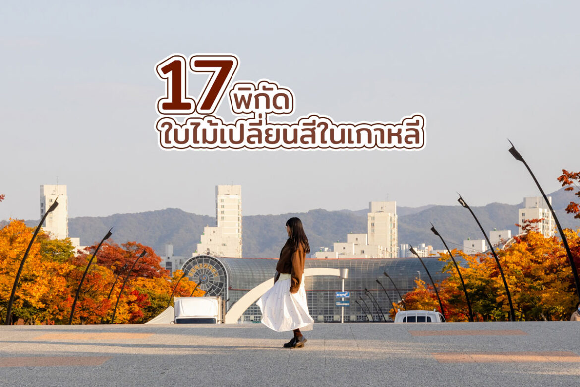 17 พิกัดเที่ยวเกาหลีในช่วงฤดูใบไม้เปลี่ยนสี