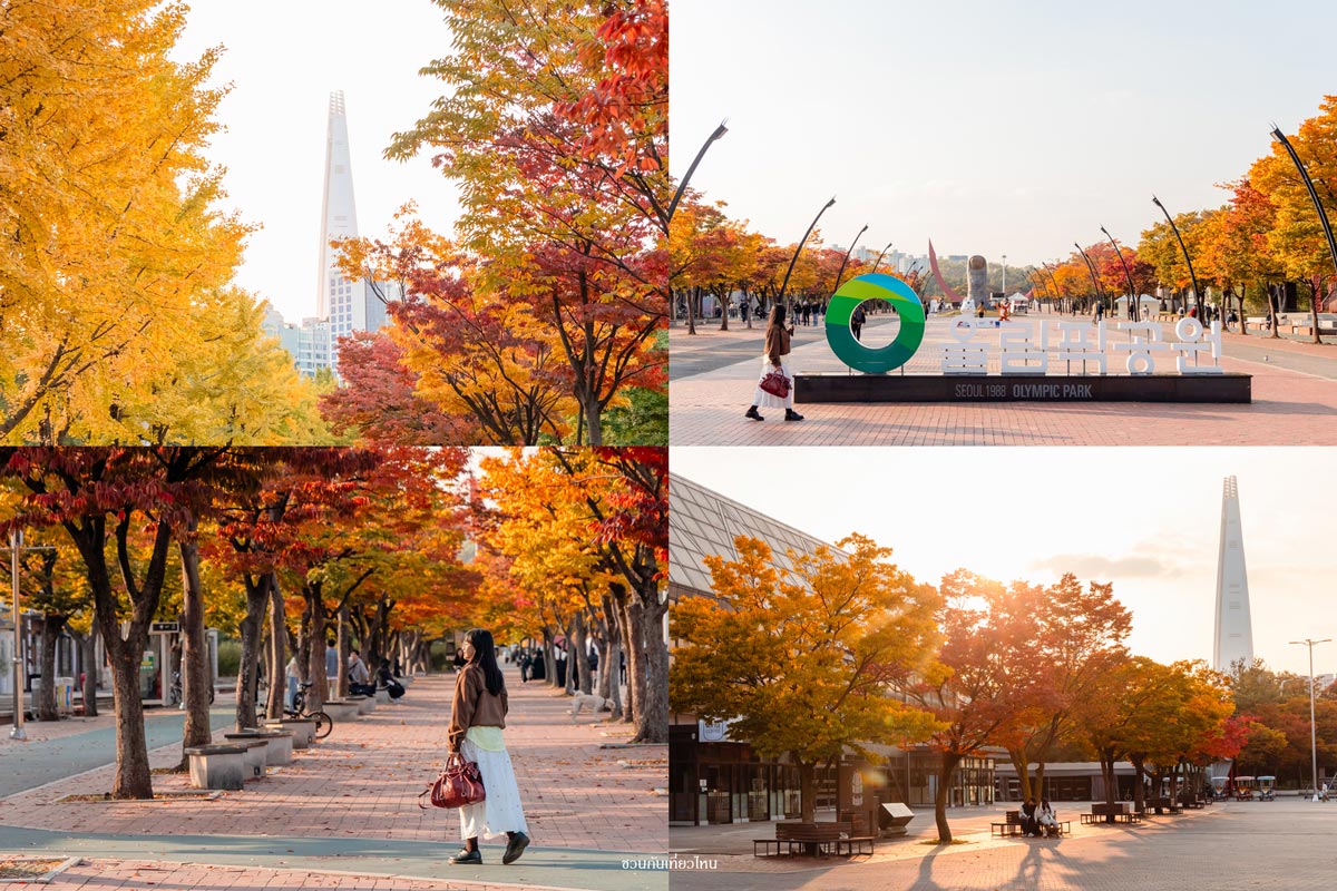 สวนสาธารณะโอลิมปิกเกาหลีใต้ช่วงฤดูใบไม้ร่วง มีทิวต้นไม้แปะก๊วยสีเหลืองและต้นเมเปิลสีส้มแดงล้อมรอบพื้นที่นั่งพักผ่อน