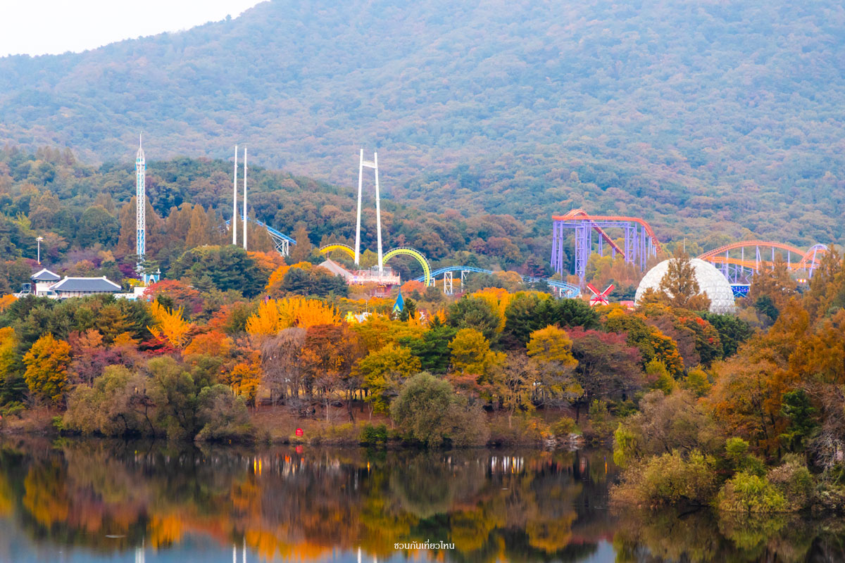 กระเช้าลอยฟ้า Sky Lift เหนือผืนป่าใบไม้เปลี่ยนสีและทะเลสาบที่สวน Seoul Grand Park