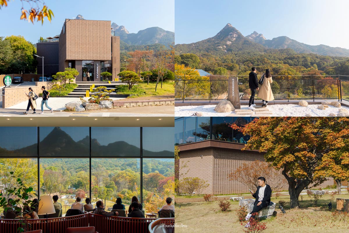 วิวทิวทัศน์ใบไม้เปลี่ยนสีบนยอดเขาอุทยานแห่งชาติบุคฮันซาน มองจากโซนที่นั่งดาดฟ้ากระจกของร้านสตาร์บัคส์เกาหลี